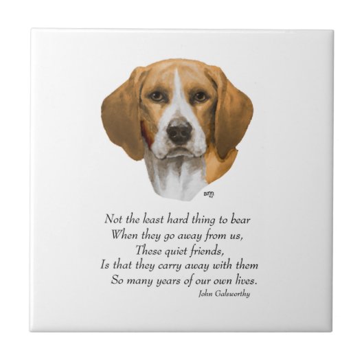 Beagle Regenboogbrug Tegeltje (Voorkant)