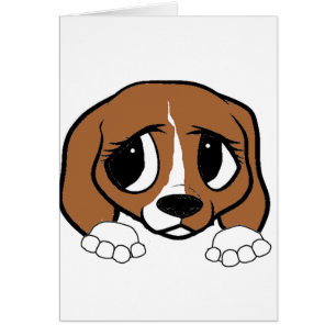 beagle rode witte peking