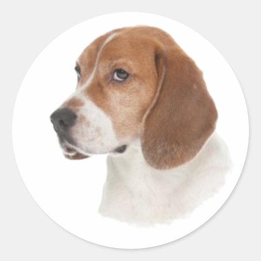 Beagle Ronde Sticker (Voorkant)