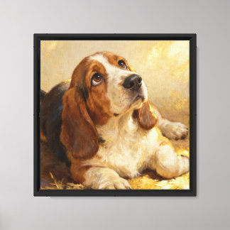 Beagle-schilderij Canvas Afdruk