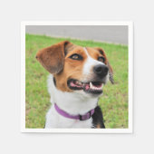 Beagle Servet (Voorkant)