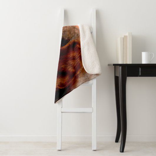 Beagle Sherpa Deken (In situ)