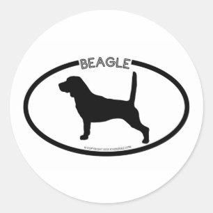 Beagle Silhouet Zwart Sticker