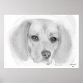 Beagle Sketch Poster (Voorkant)