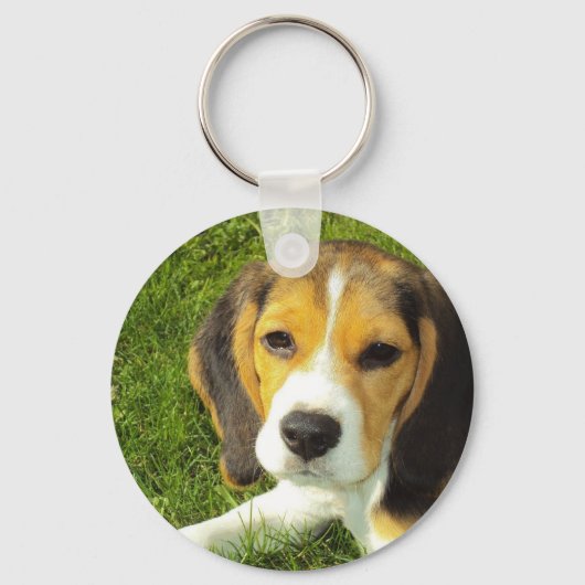 Beagle Sleutelhanger (Voorkant)