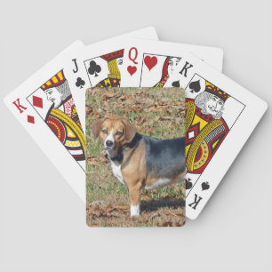 Beagle Speelkaarten