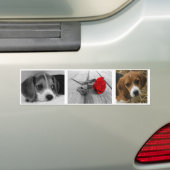 Beagle stickers (Op auto)