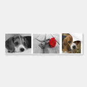 Beagle stickers (Voorkant)