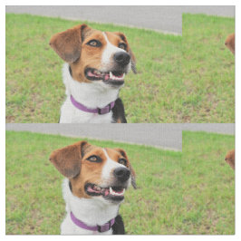 Beagle Stof