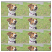 Beagle Stof (Swatch)