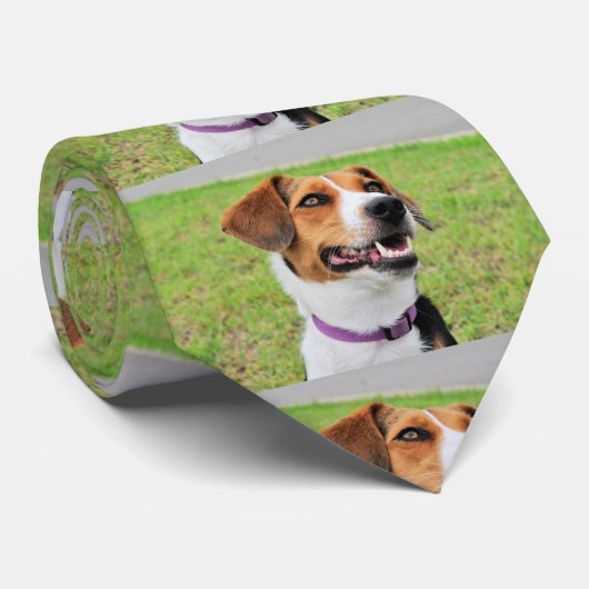 Beagle Stropdas (Opgerold)