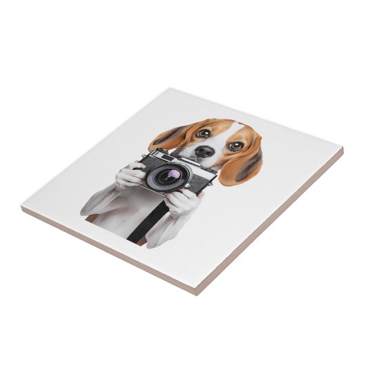 Beagle Tegeltje (Zijkant)