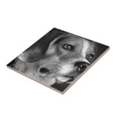 Beagle Tegeltje (Zijkant)