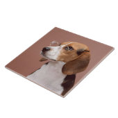 Beagle Tegeltje (Zijkant)