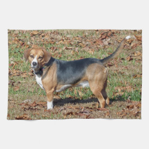 Beagle Theedoek
