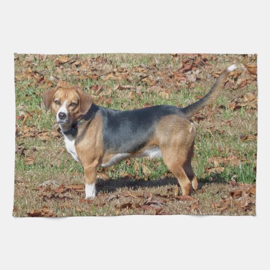 Beagle Theedoek (Horizontaal)