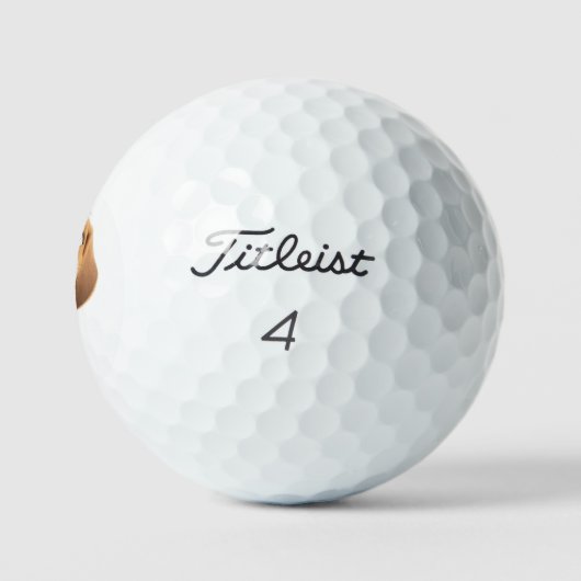 Beagle Theme Golfballen (Logo)