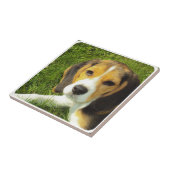 Beagle Tile Tegeltje (Zijkant)