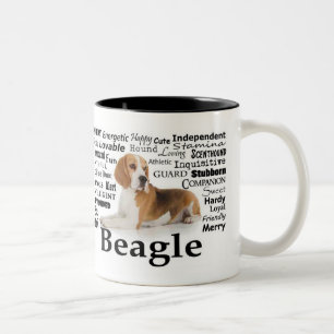 Beagle Traits Mok