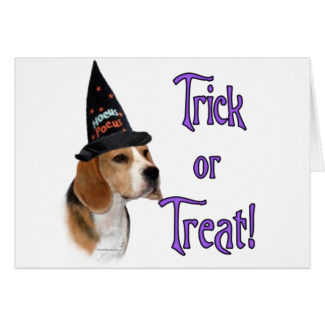 Beagle Trick (Voorkant Horizontaal)