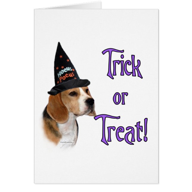 Beagle Trick (Voorkant)