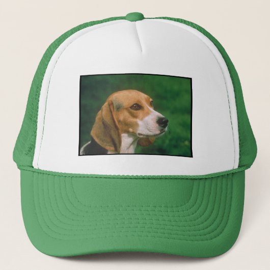 Beagle Trucker Pet (Voorkant)