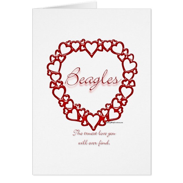 Beagle True Love (Voorkant)