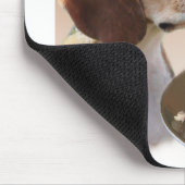 Beagle Turkije Muismat (Hoek)