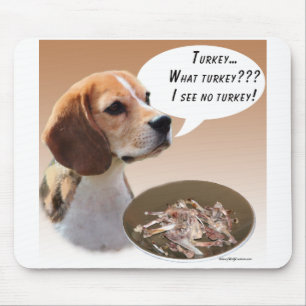 Beagle Turkije Muismat