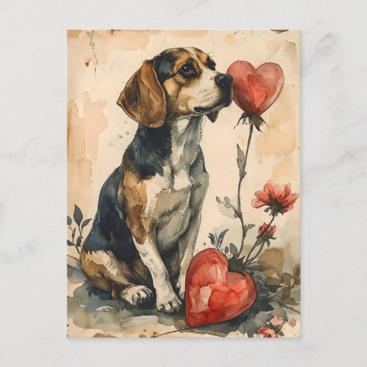 Beagle  Valentijnsdag Briefkaart (Voorkant)