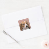Beagle Vierkante Sticker (Envelop)