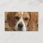 Beagle Visitekaartje (Achterkant)