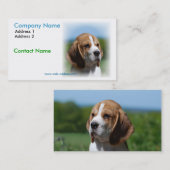 Beagle Visitekaartje (Voorkant / Achterkant)