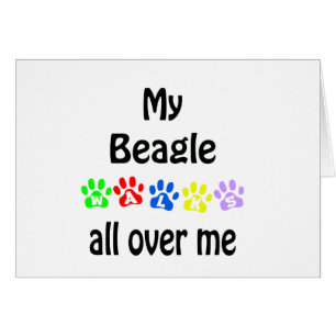 Beagle wandelingen ontwerp