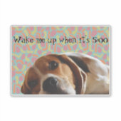 Beagle wast me op sticker (Voorkant)