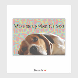 Beagle wast me op sticker