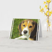 Beagle-Wenskaarten Kaart (Gele Bloem)