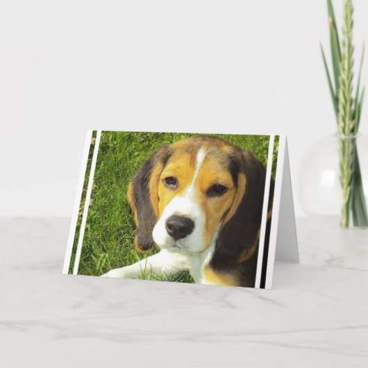 Beagle-Wenskaarten Kaart (Voorkant)