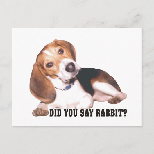 Beagle zei je konijn? Briefkaart (Voorkant)