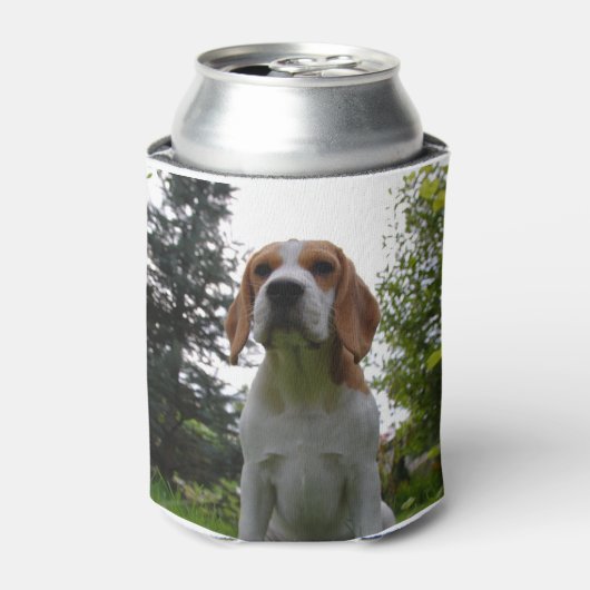 Beagle zit.png blikjeskoeler (Blikje Voorkant)
