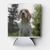 Beagle zit.png blikjeskoeler (Voorkant)
