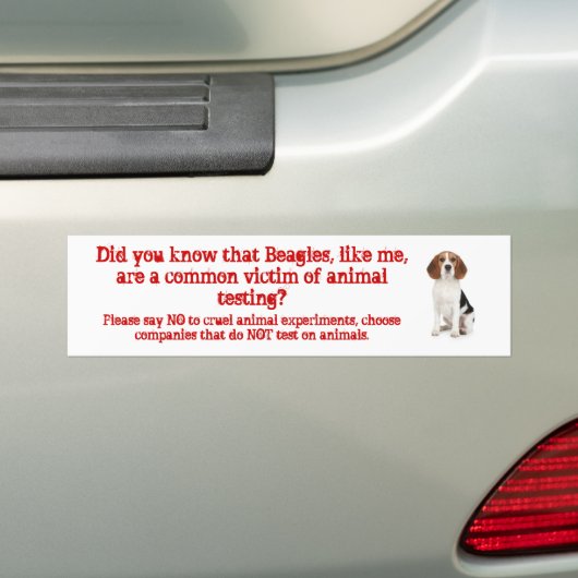 Beagle zoals ik/dierproeven bumpersticker (Op auto)