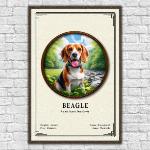 Beagle Zoölogie Serie Poster