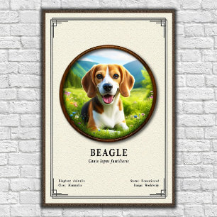 Beagle Zoölogie Serie Poster