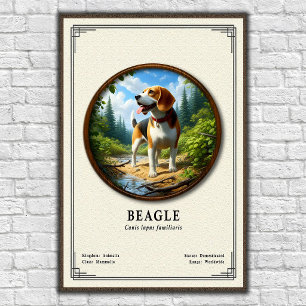 Beagle Zoölogie Serie Poster