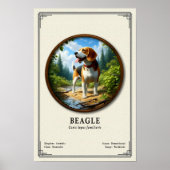 Beagle Zoology Series Poster (Voorkant)