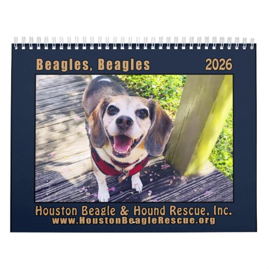 Beagles Beagles muurkalender 2026 Kalender (Hoes)