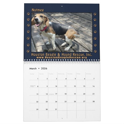 Beagles Beagles Wall calendar 2026 Kalender (Mar 2026)