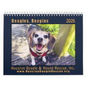 Beagles Beagles Wall calendar 2026 Kalender (Hoes)