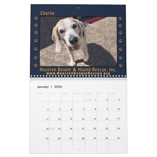 Beagles Beagles Wall calendar 2026 Kalender (Jan 2026)